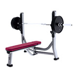 Силовой тренажер Life Fitness Olympic Flat Bench SOFB Силовой тренажер Life Fitness Olympic Flat Bench SOFB
