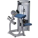 ������� �������� Cybex VR3 Arm Curl 12070