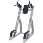 ������� �������� Icarian Precor CW702 Vertical Knee Up / Dip