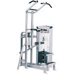 ������� �������� Cybex VR3 Dip/Chin Assist 12231