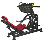 ������� �������� BCFitness TS-P009D ��� ������ �����������