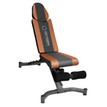 ������� �������� Oxygen Toledo