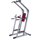 ������� �������� Life Fitness Chin Dip Leg Raise SCDLR 