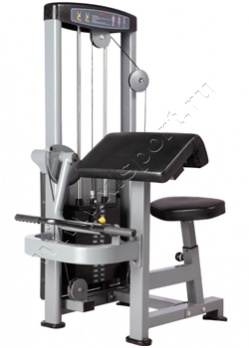 ������� �������� Bronze Gym D-006