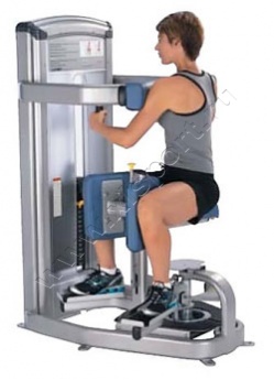������� �������� Cybex VR3 Torso Rotation 12190