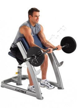 ������� �������� Cybex 16131 Scott Curl