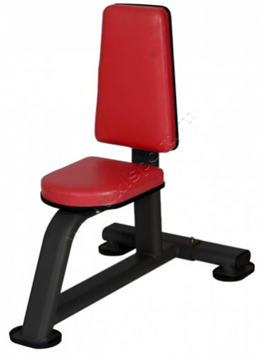 ������� �������� BCFitness TS-P030 ������-����