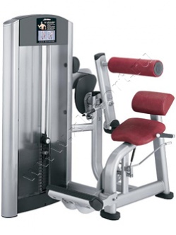 ������� �������� Life Fitness Signature Back Extension