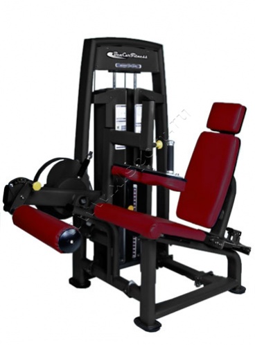 ������� �������� BCFitness TS-P043 �������� ���