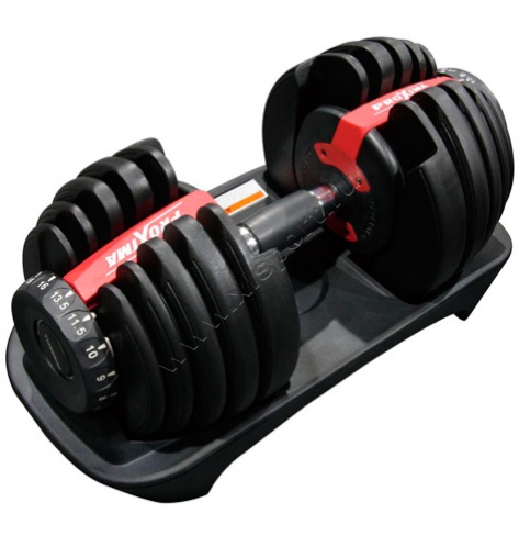 ������������ ������� Proxima Gigant 24 kg
