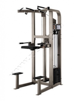 ������� �������� Life Fitness PRO2 Assist Dip Chin