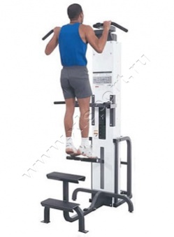 ������� �������� Cybex Modular 5345 Assisted Chin-Up/Dip