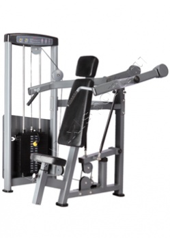 ������� �������� Bronze Gym D-003