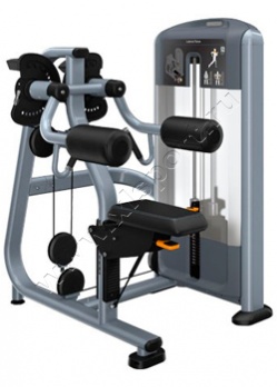 ������� �������� Precor DSL504 Lateral Raise 