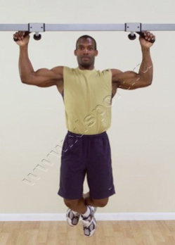 ������� �������� Body Solid GCA-2