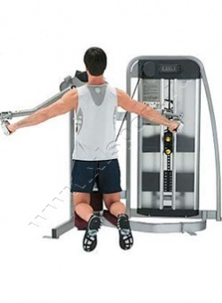 ������� �������� Cybex Eagle Lateral Raise 11160 