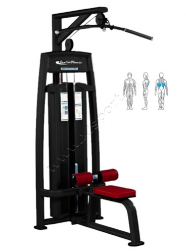 ������� �������� BCFitness �S-P038 ���� �������