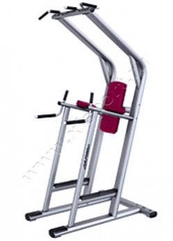 ������� �������� Life Fitness Chin Dip Leg Raise SCDLR 