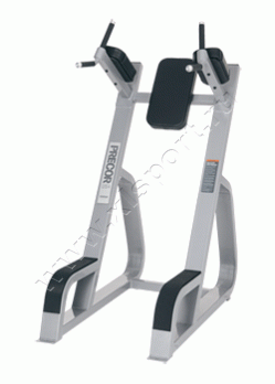 ������� �������� Icarian Precor CW702 Vertical Knee Up / Dip