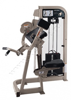 ������� �������� Life Fitness PRO2 Biceps Curl 