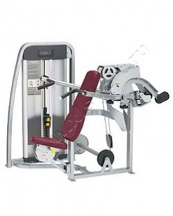 ������� �������� Cybex Eagle Overhead Press 11010