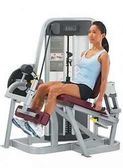 ������� �������� Cybex Eagle Leg Extension 11050_11051 