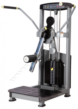 ������� �������� Bronze Gym D-016