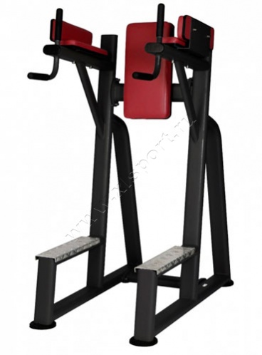 ������� �������� BCFitness TS-P031 ������ �����/������