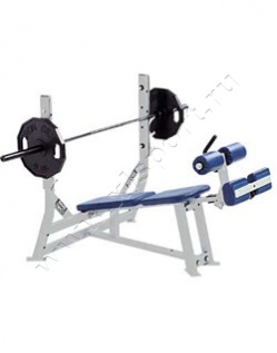 ������� �������� Hammer Strength ODB