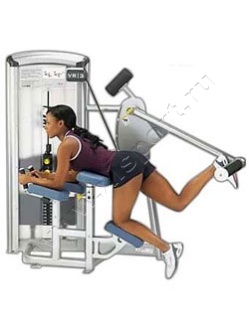������� �������� Cybex VR3 Glute 12170