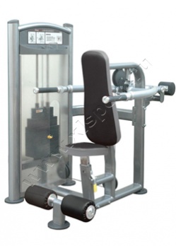 ������� �������� AeroFit IT-9017