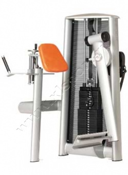 ������� �������� Gym 80 3005 Glutaeus Radial